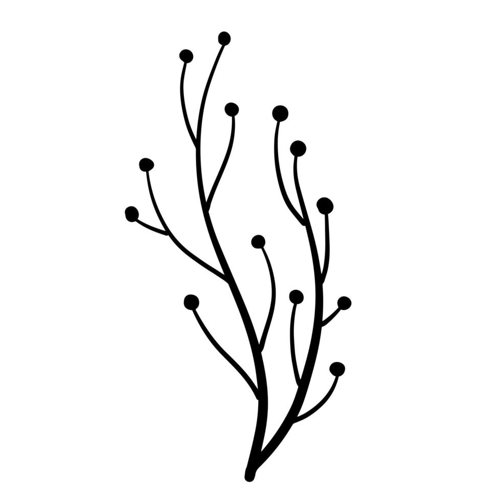 Natural plant. Abstract doodle flower. Sketch black and white Stem with leaves vector