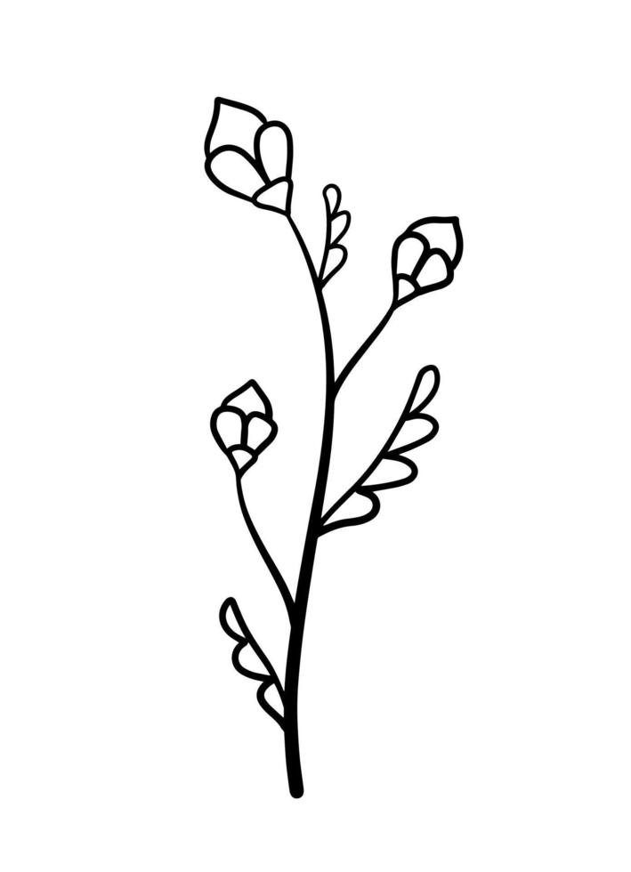 Natural plant. Abstract doodle flower. Sketch black and white Stem with leaves vector