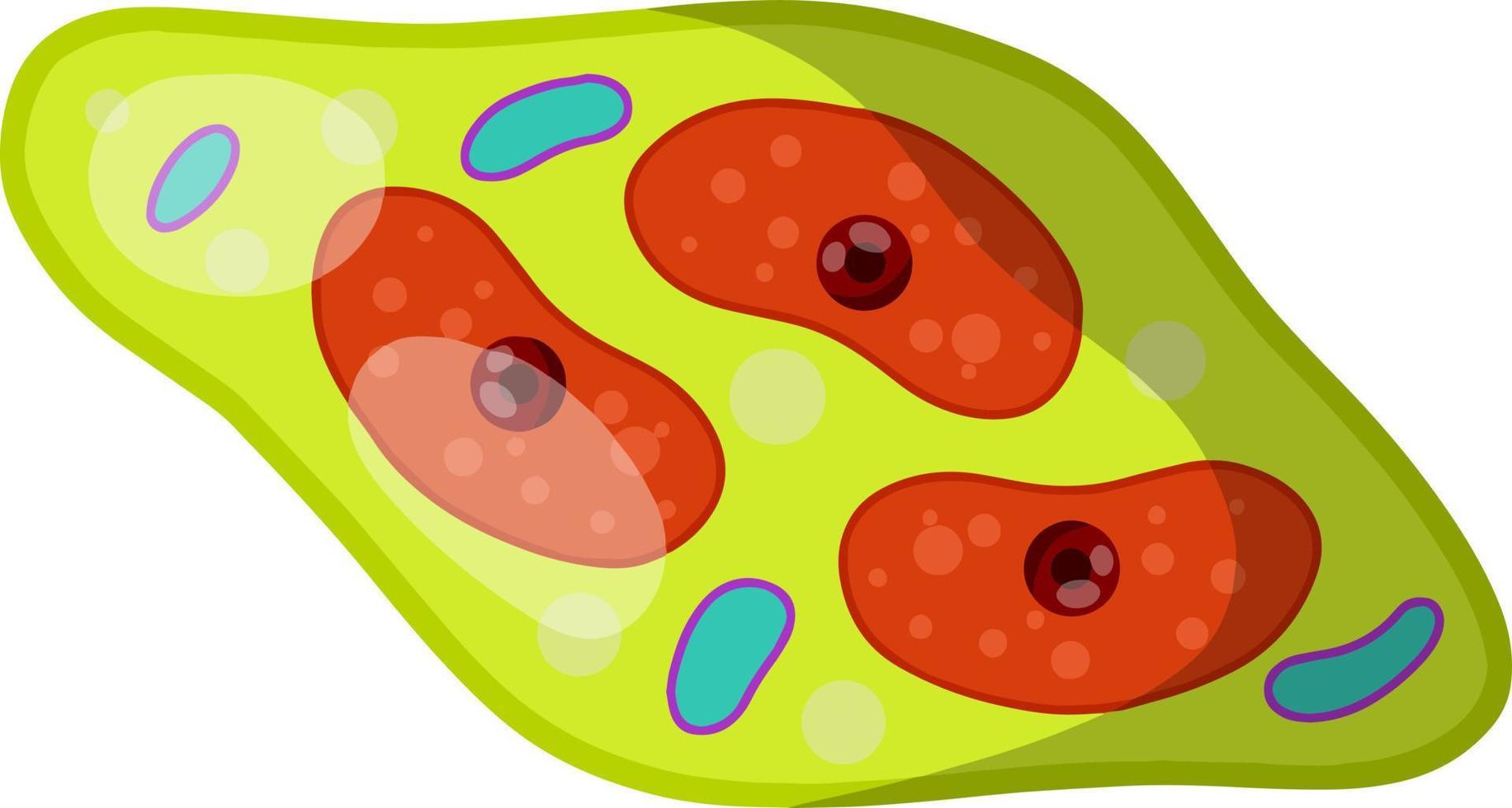 Green cell of the plant. Element of biology. vector