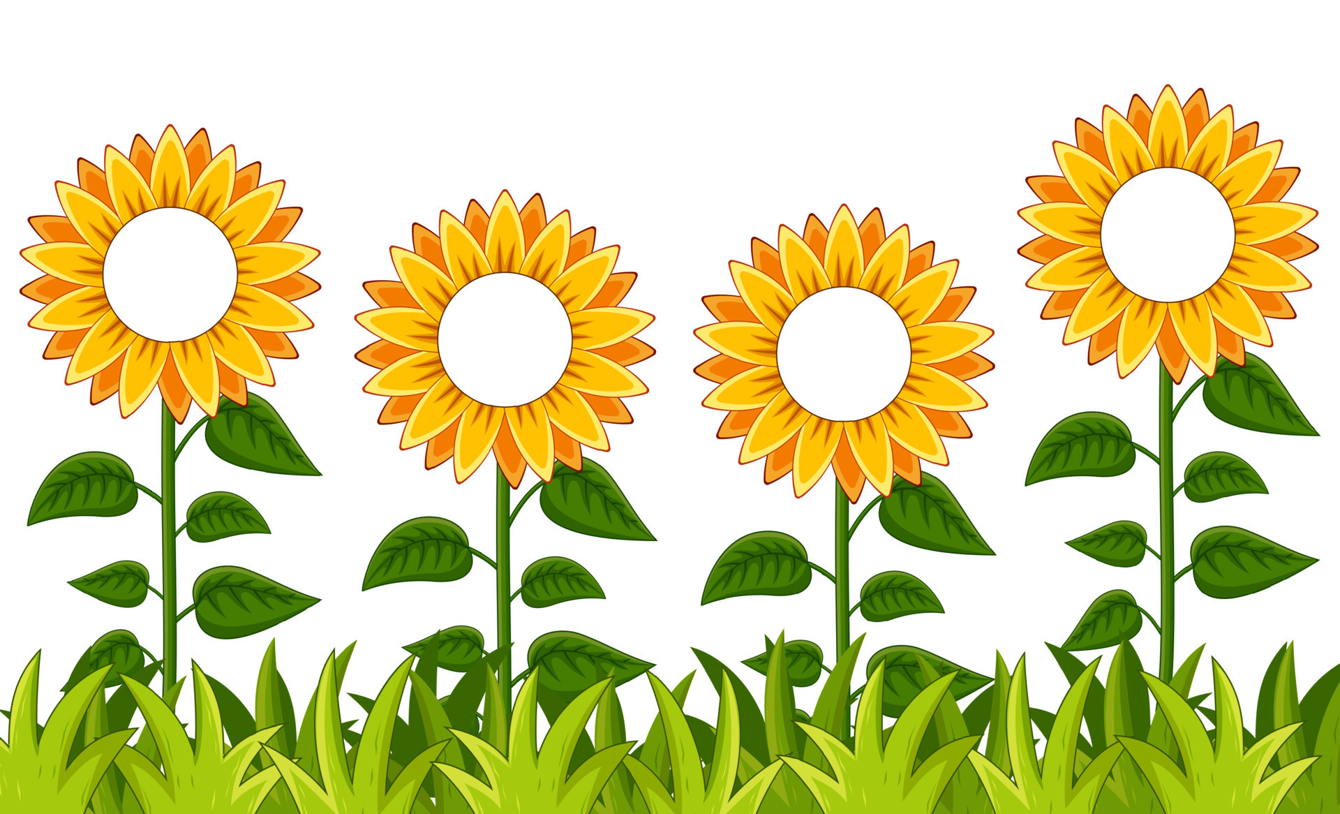 Sunflowers Garden with Writing Space 8950517 Vector Art at Vecteezy