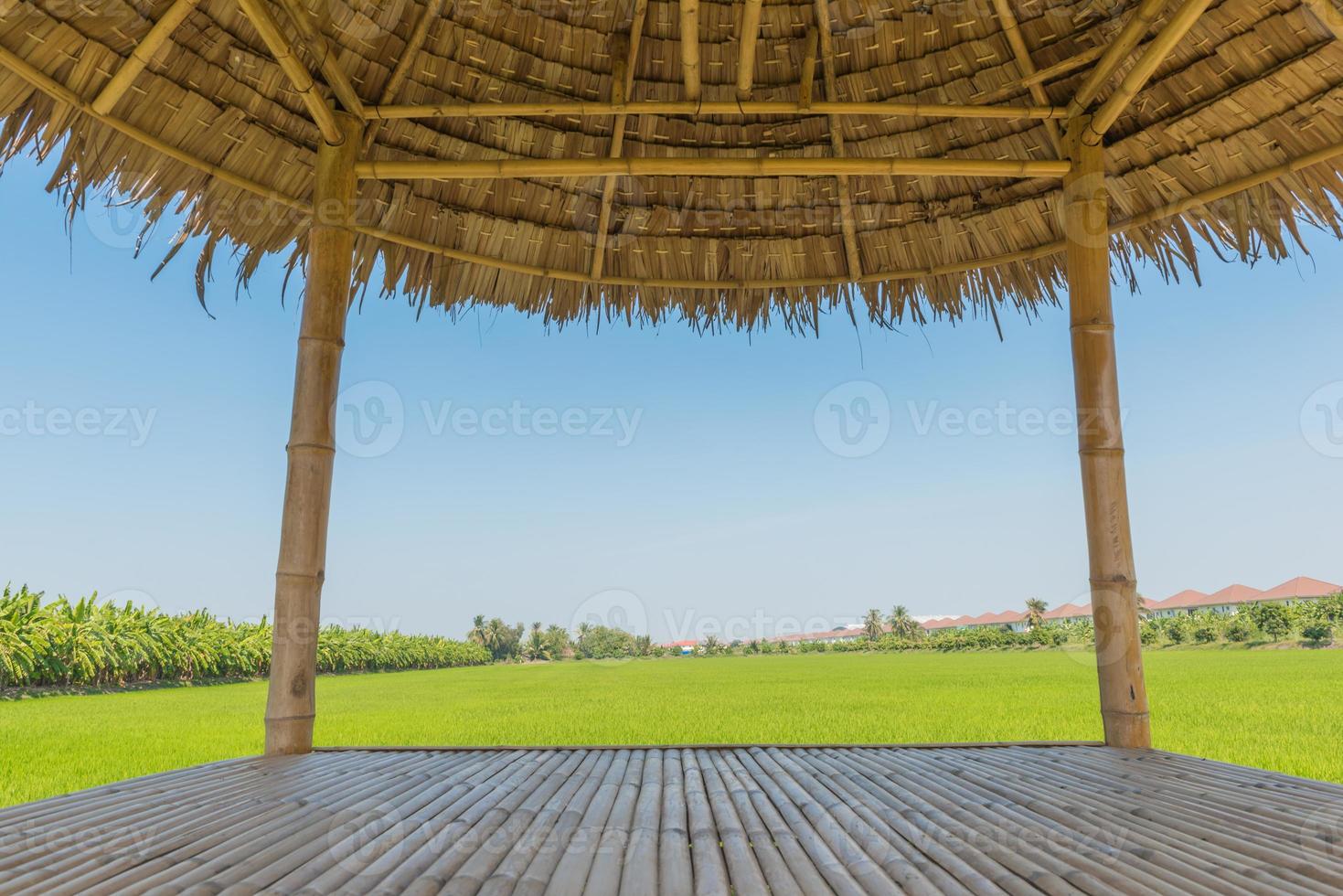 The wooden huts in a rice green in the field a vast area photo
