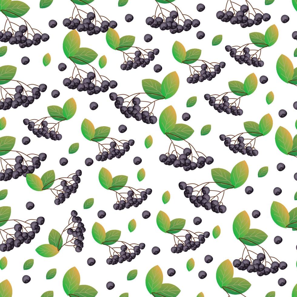 seamless pattern with chokeberry vector