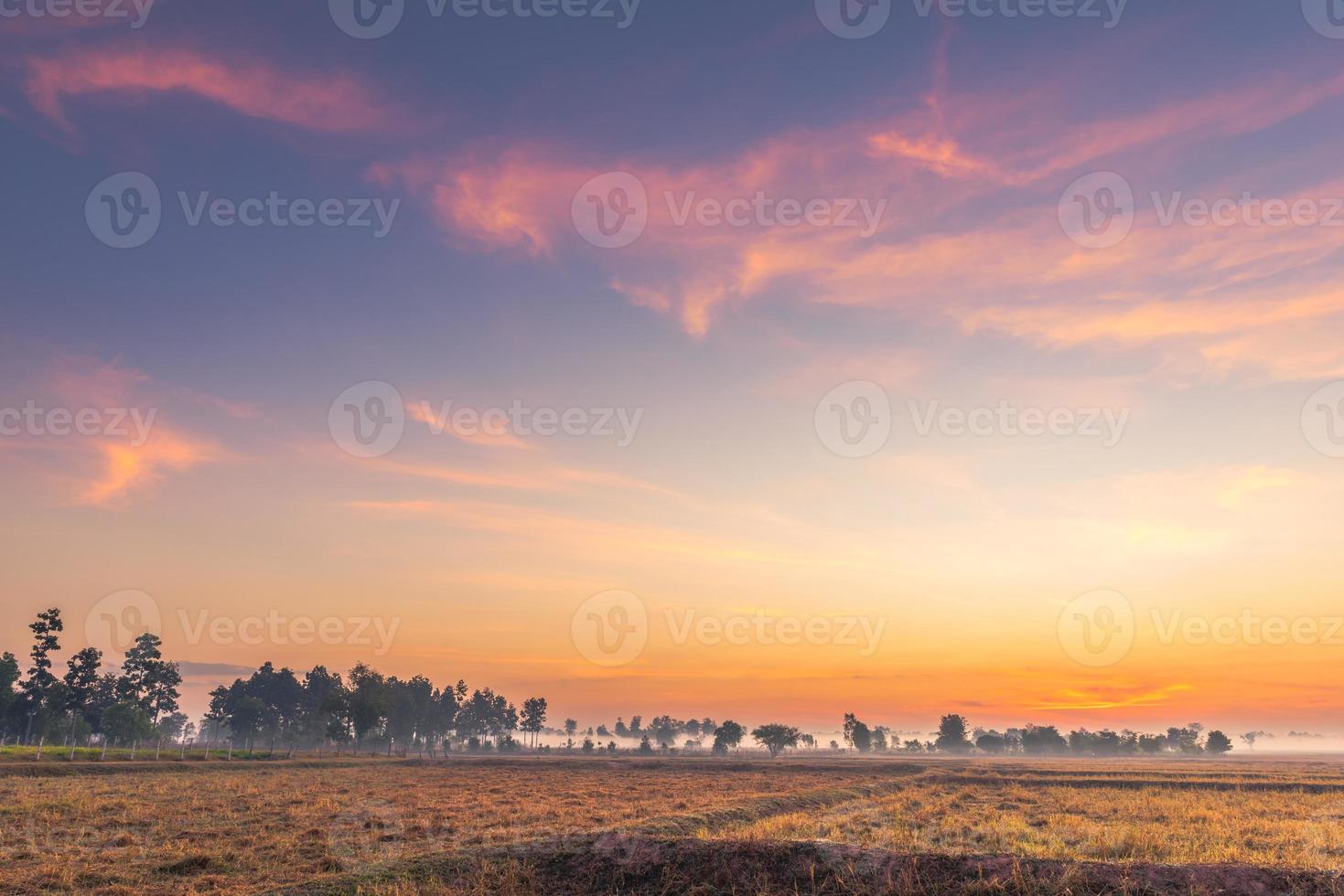 paisaje rural los campos al amanecer niebla matutina y hermoso cielo foto