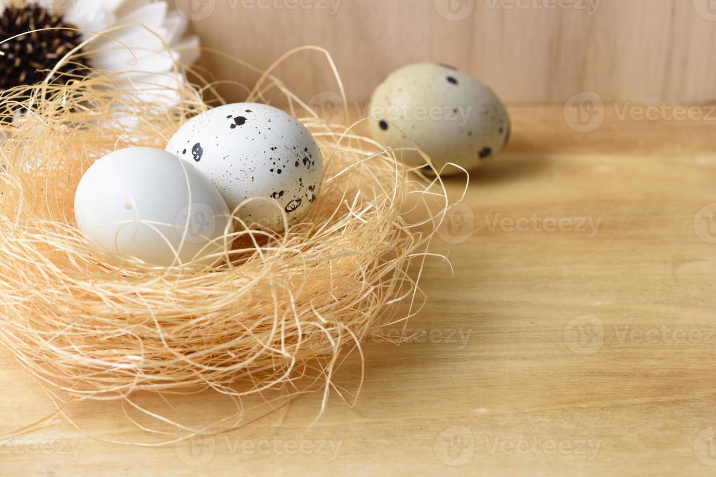 quail eggs in a nest of hay photo