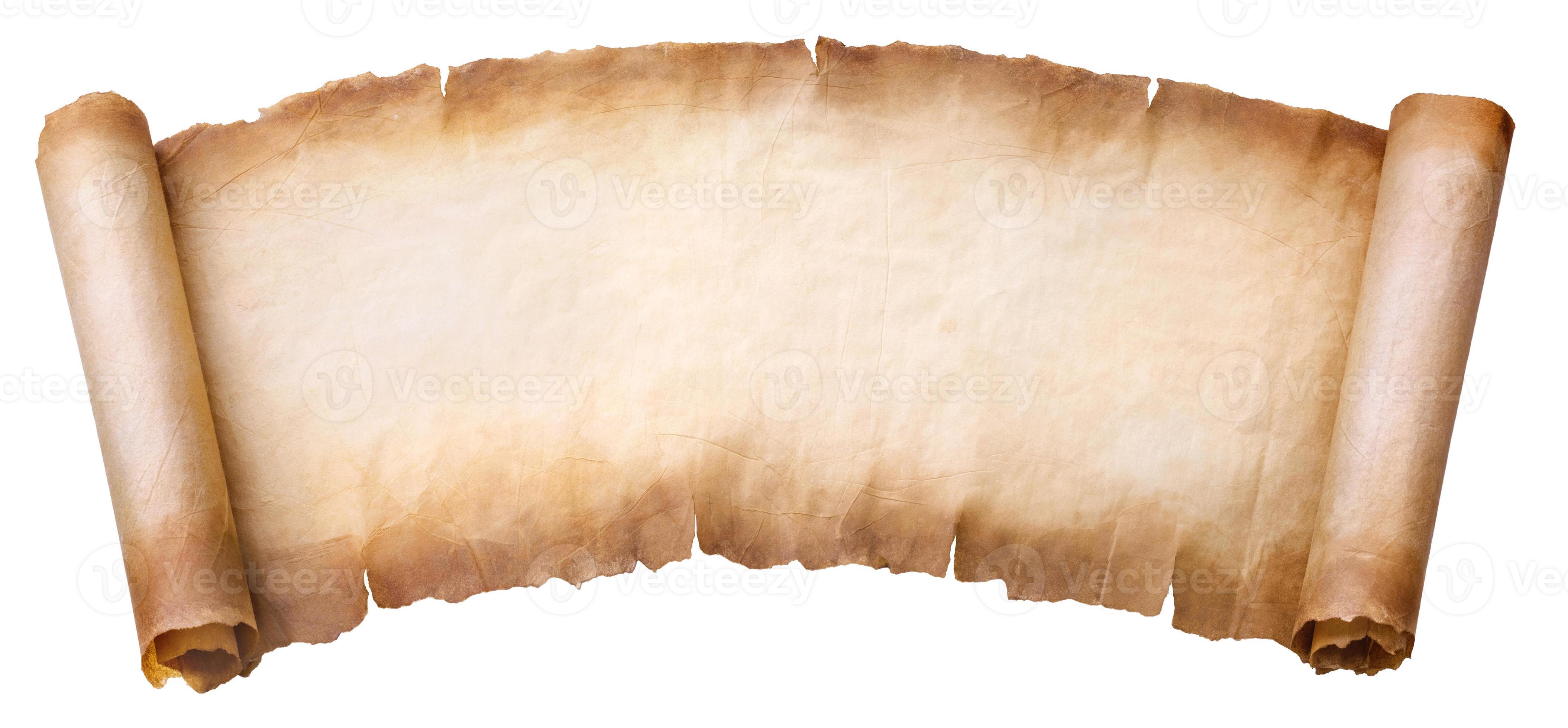 old parchment paper scroll sheet vintage aged or texture isolated on
