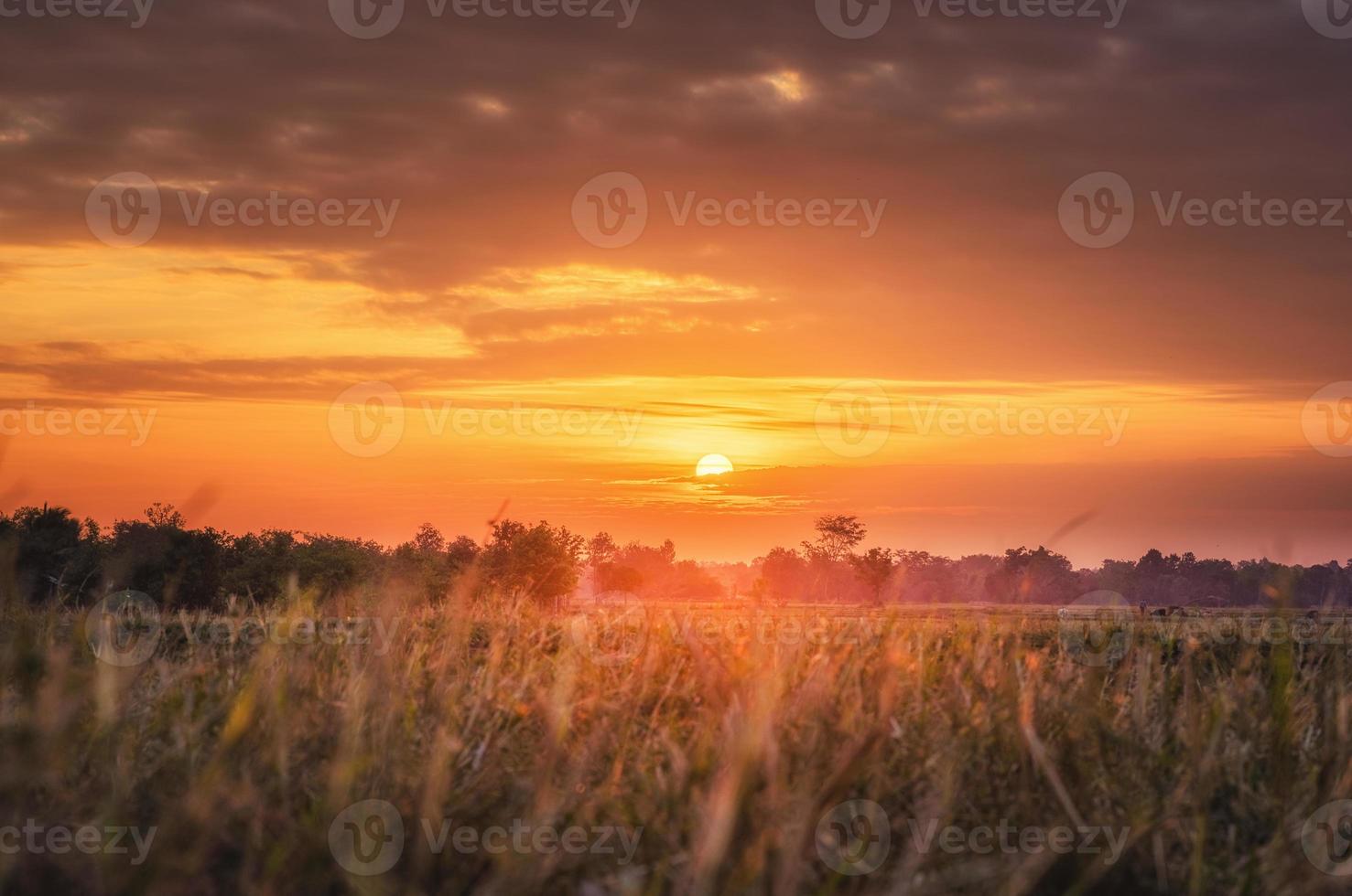 paisaje rural los campos al amanecer por la mañana y hermoso cielo foto