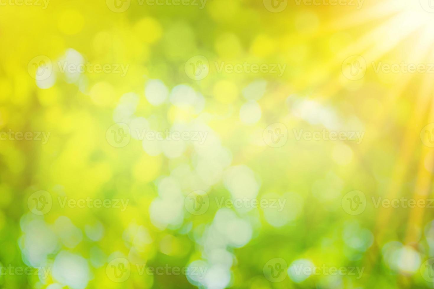 beautiful natural green leaf abstract blurred bokeh light background photo