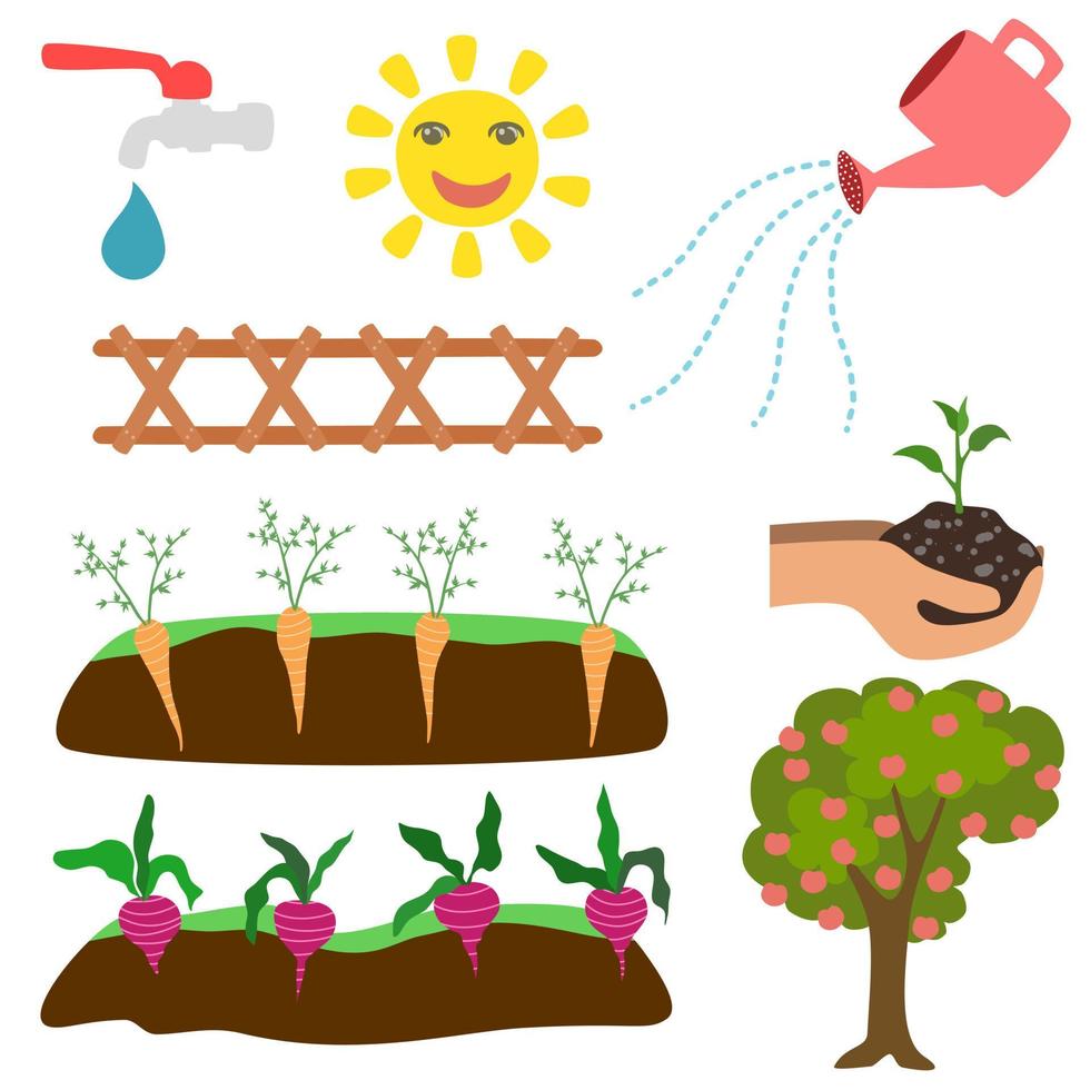Underground carrots  growing and watering set. vector