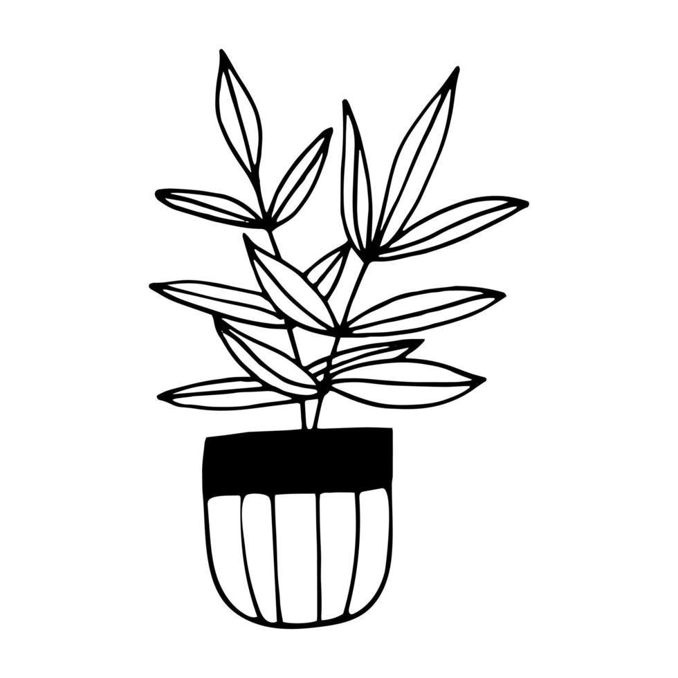 ficus en un icono de olla dibujado a mano. , minimalismo, escandinavo, monocromo, flor de planta de pegatina nórdica vector