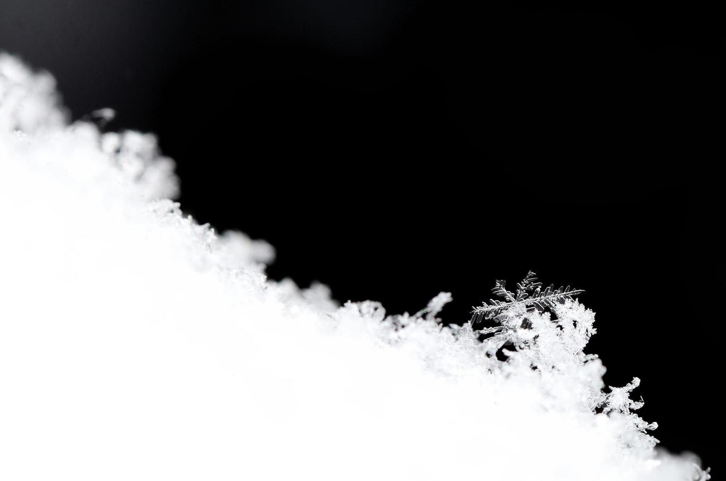 Snow crystals with many branches on black photo