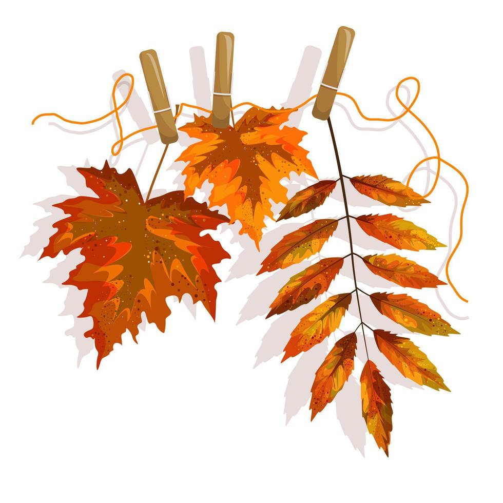 Vector image of withered fallen leaves of different types of deoeviev on a loose rope, pinned with clothespins