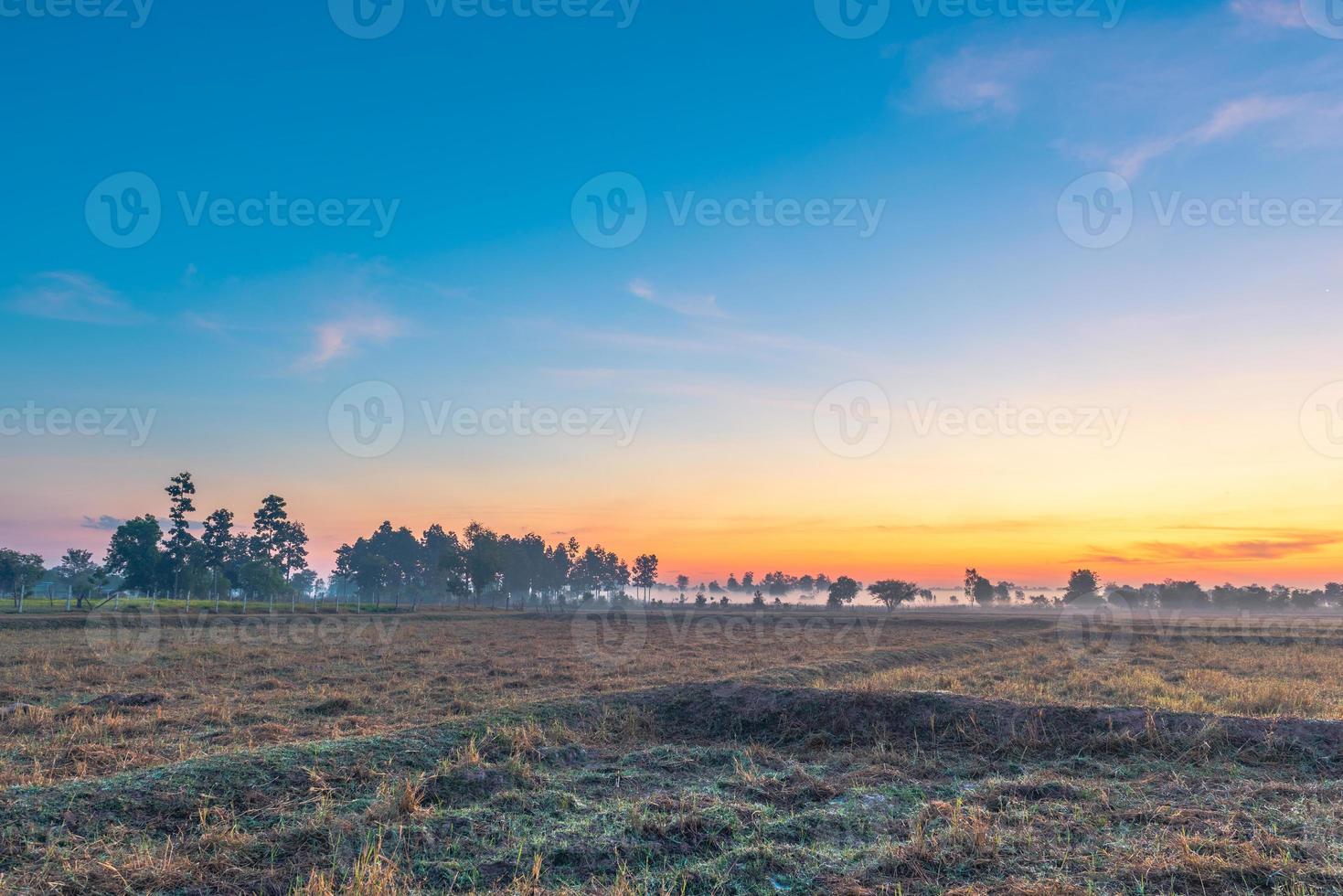 paisaje rural los campos al amanecer niebla matutina y hermoso cielo foto