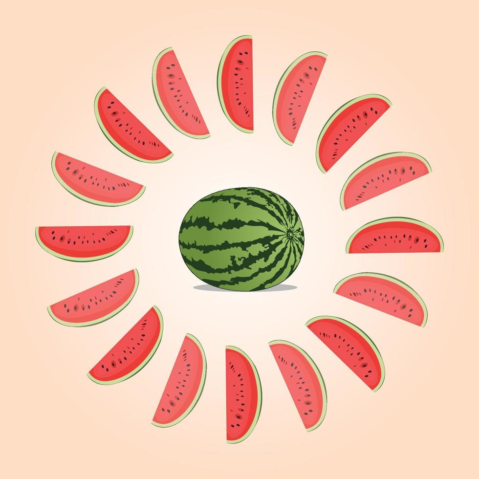 Watermelon with circular slices vector
