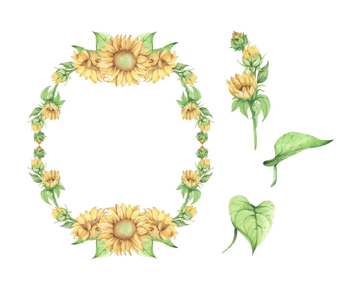 Set of Sunflower. Watercolor floral illustration. vector