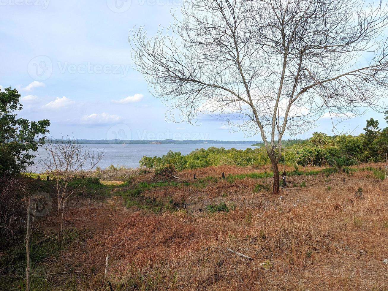 paisajes, colinas y ríos foto