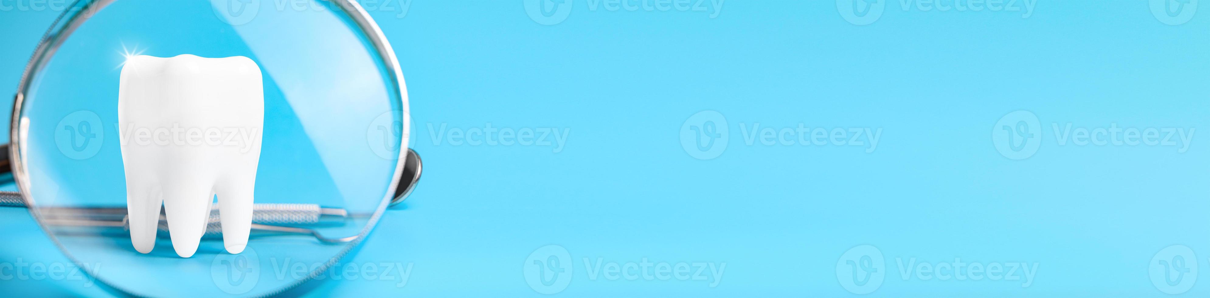 Dental model and dental equipment on blue background, concept image of dental background. panoramic banner with copy space photo