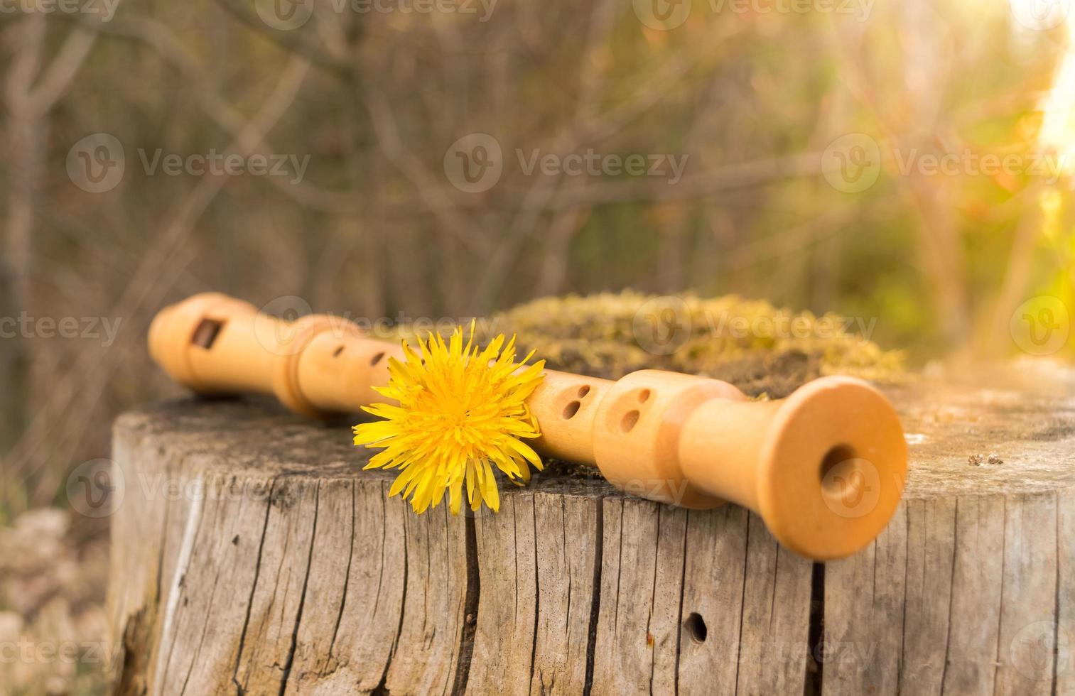 Flute in nature photo