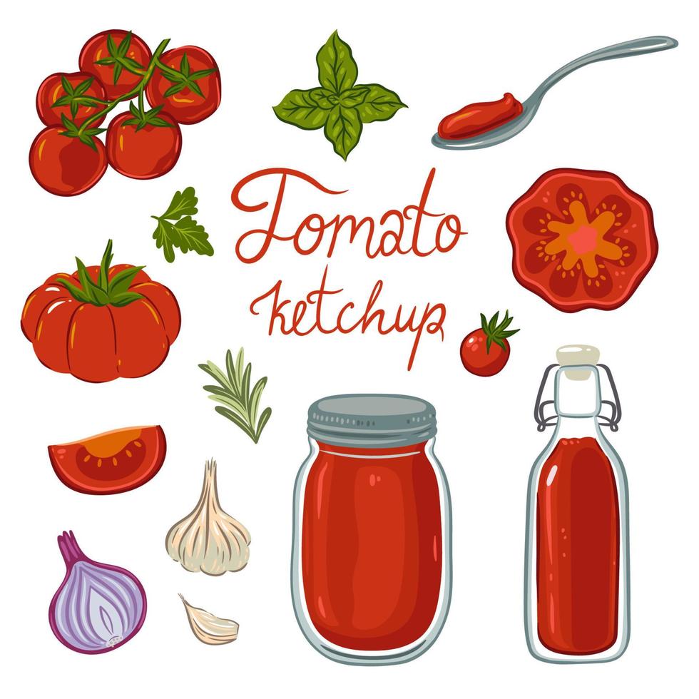 Set of tomato ketchup in bottles and ingredients isolated on white background. Vector graphics.