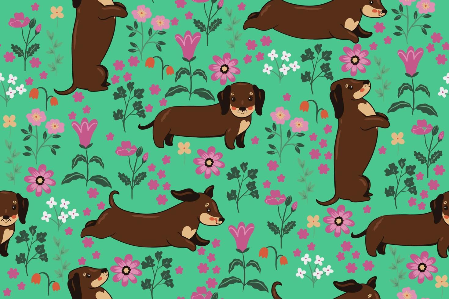 Seamless pattern with Dachshund dogs and flowers. Vector graphics.