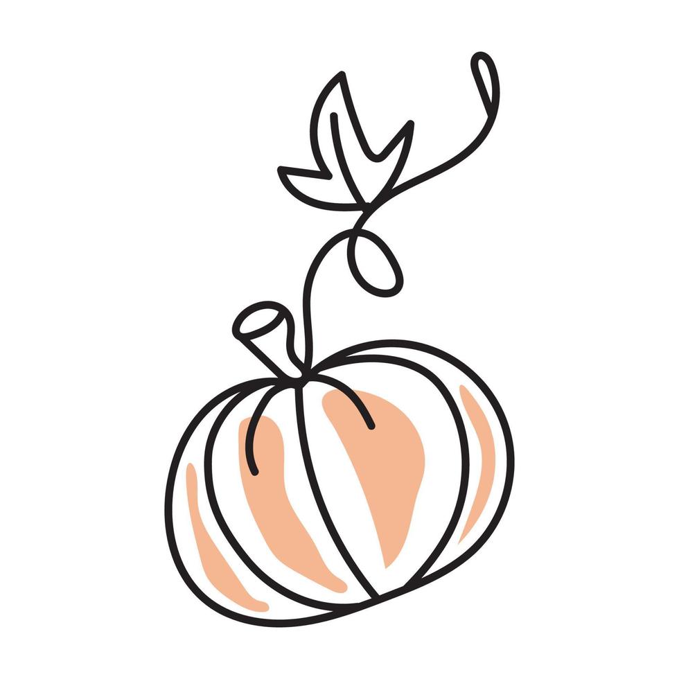 vector illustration of pumpkin