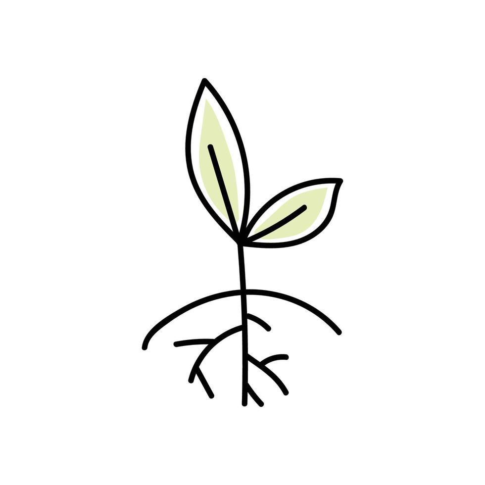 plant with root vector