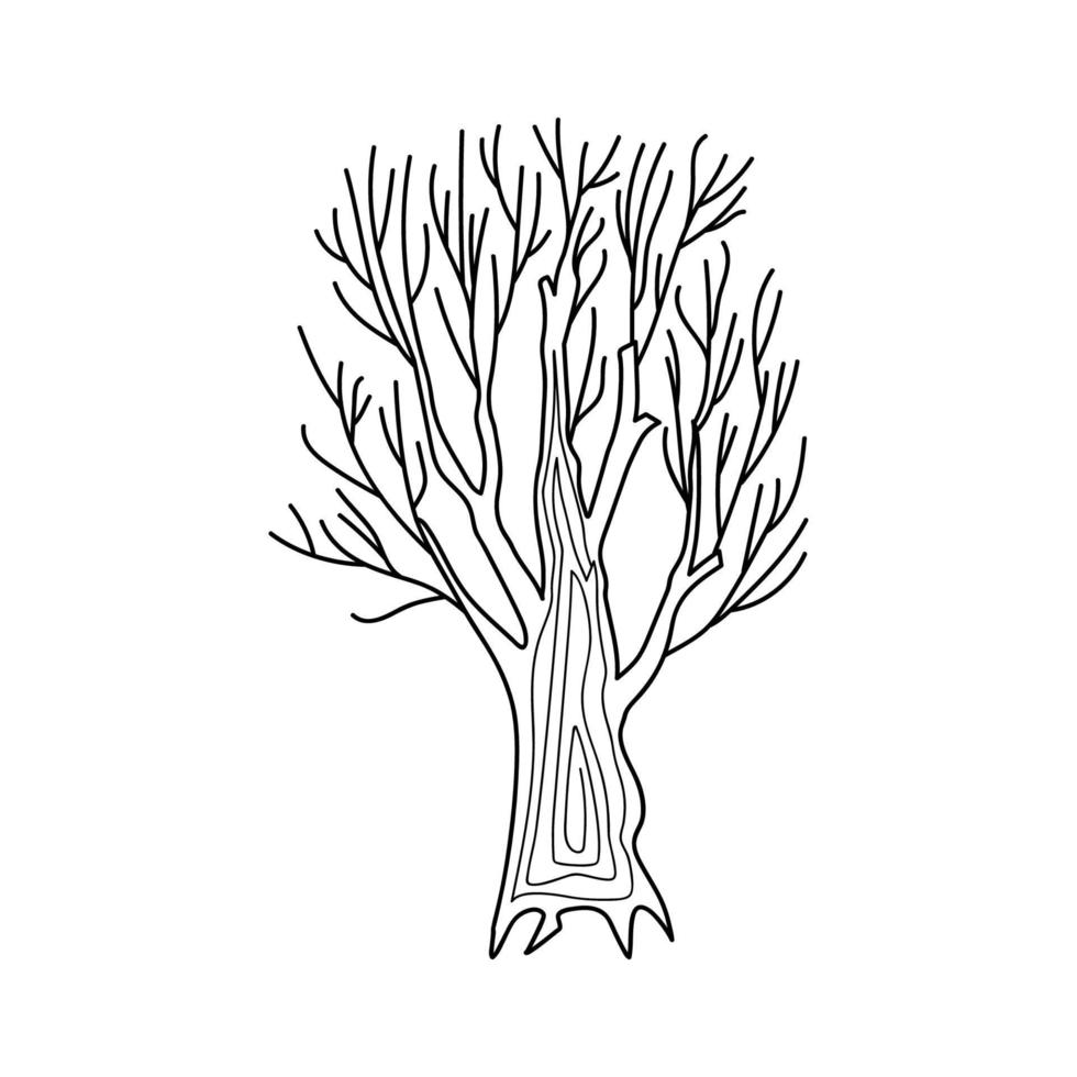 dry old tree vector