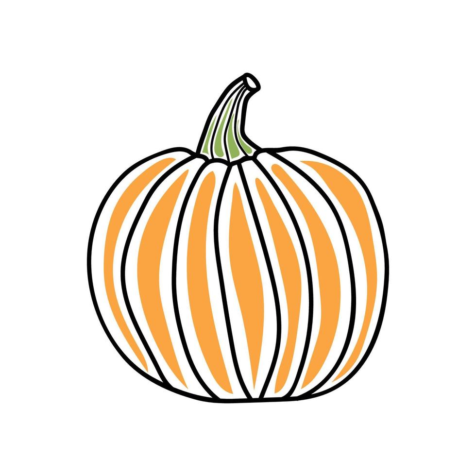pumpkin in doodle style vector
