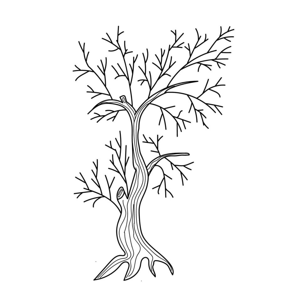 dry old tree vector