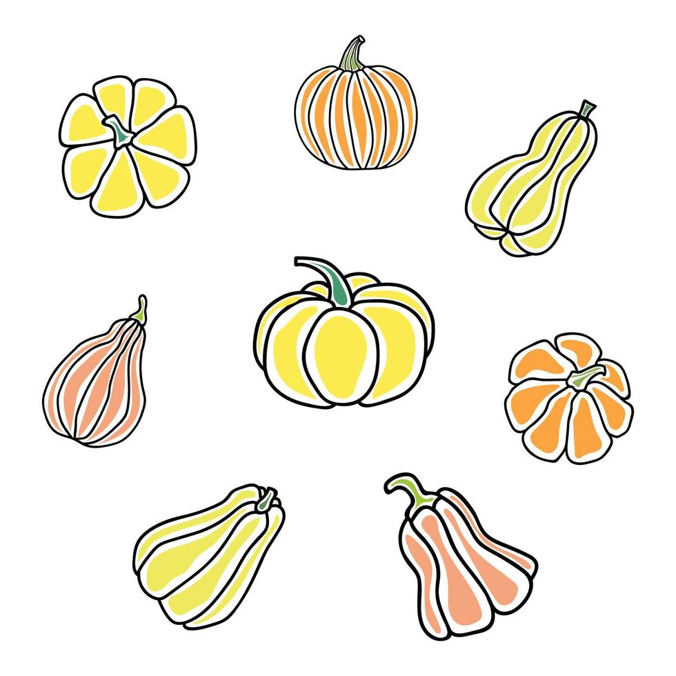 set of pumpkins vector