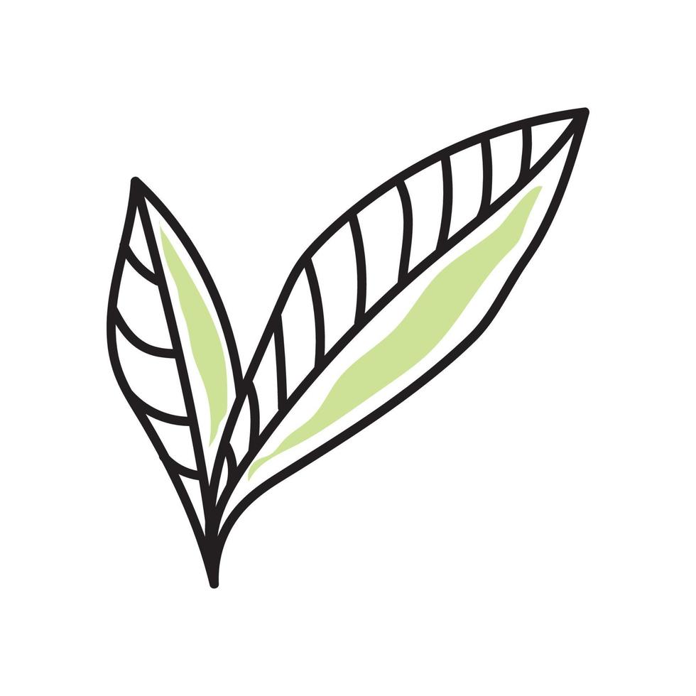 vector illustration of autumn leaf