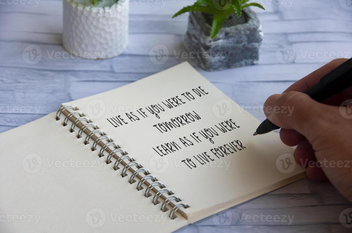 Motivational and inspirational quote- Live as if you were to die tomorrow. Learn as if you were to live forever. photo
