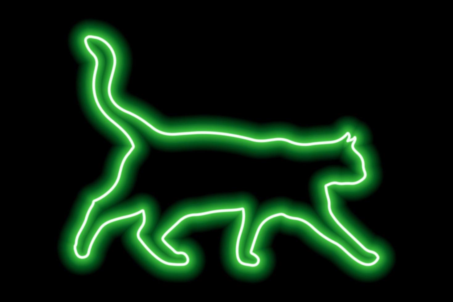 Neon green cat on a black background. The cat walks with its tail raised high vector