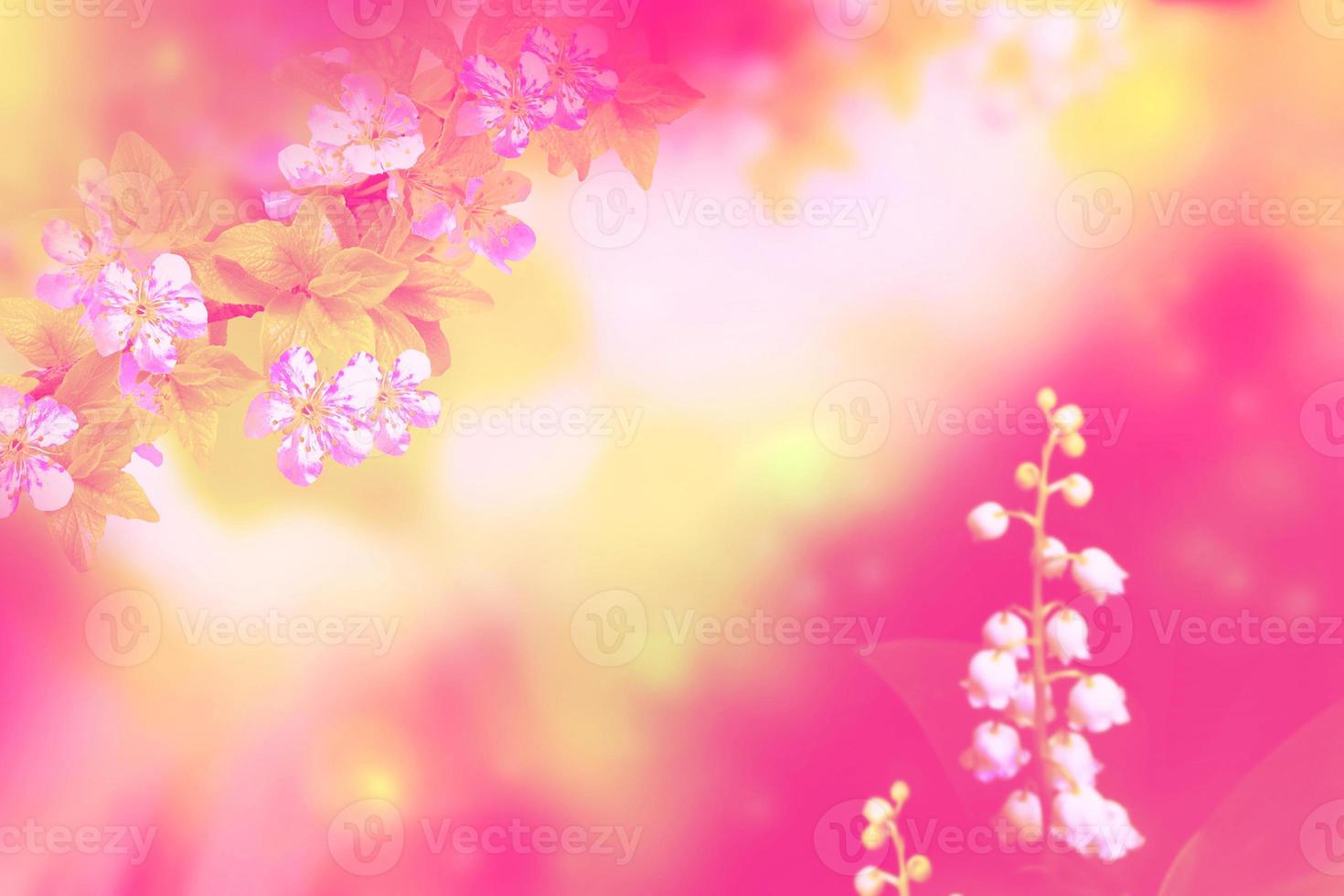 Blossoming branch cherry. Spring landscape. flowers lily of the valley photo