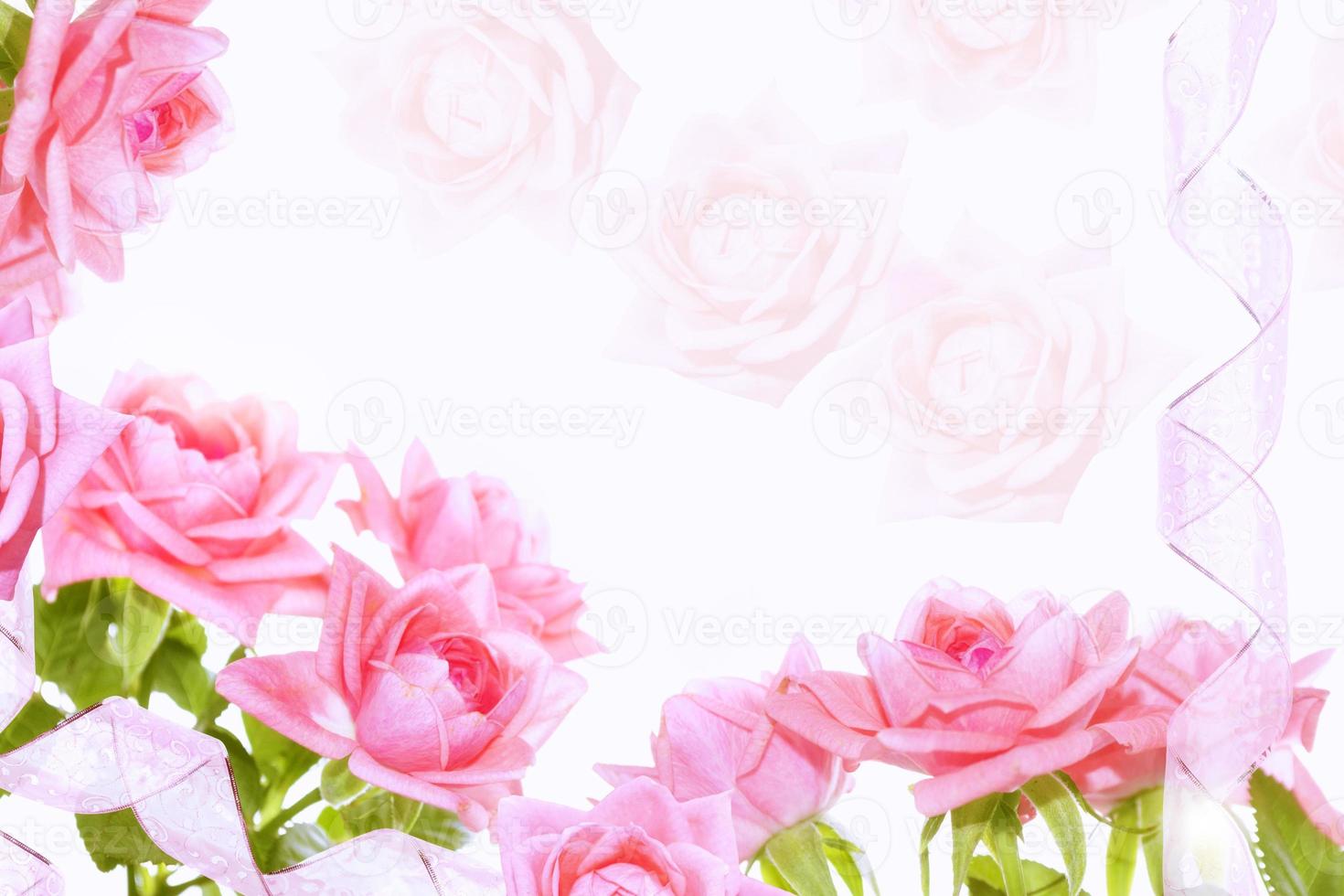 Five red roses on a white background. floral background photo