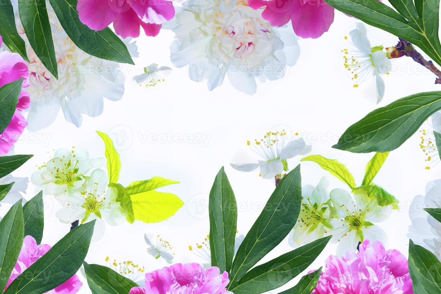 Blossoming branch apple, peonies. nature photo