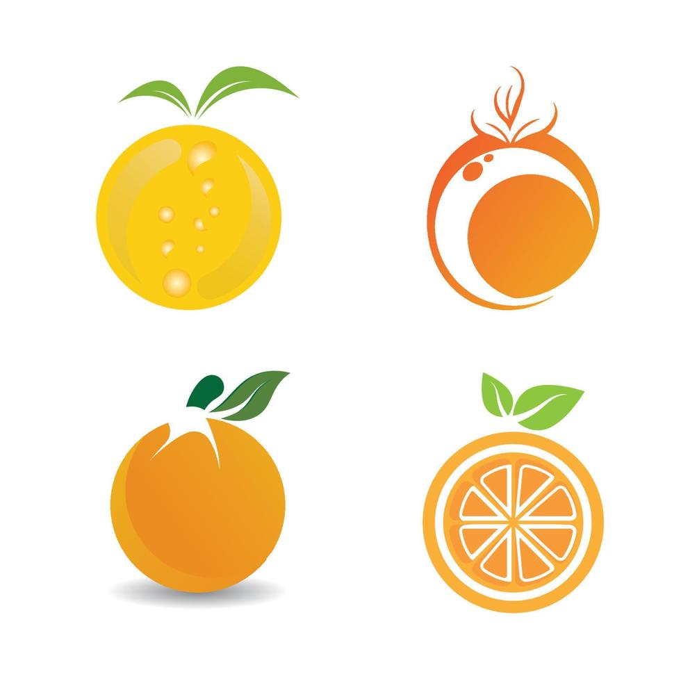 Orange logo design vector