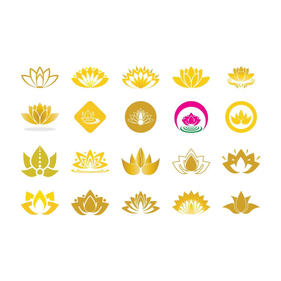 Beauty vector lotus icon
