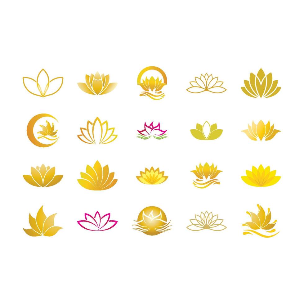 Beauty vector lotus icon