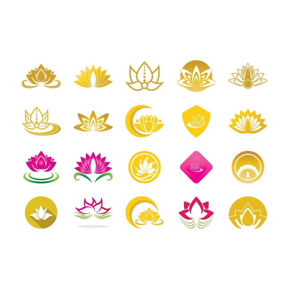 Beauty vector lotus icon