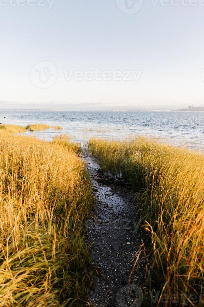 Coast at golden hour photo