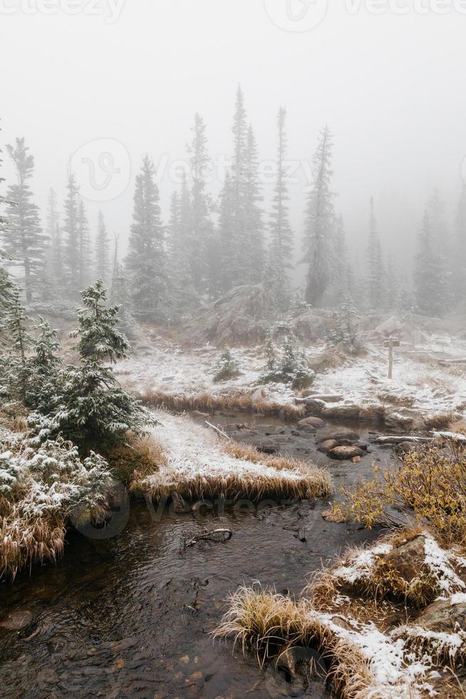 Stream in snowy woods photo