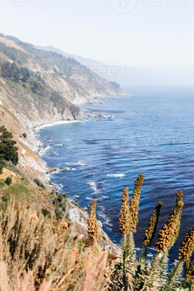 Ocean and vegetation photo