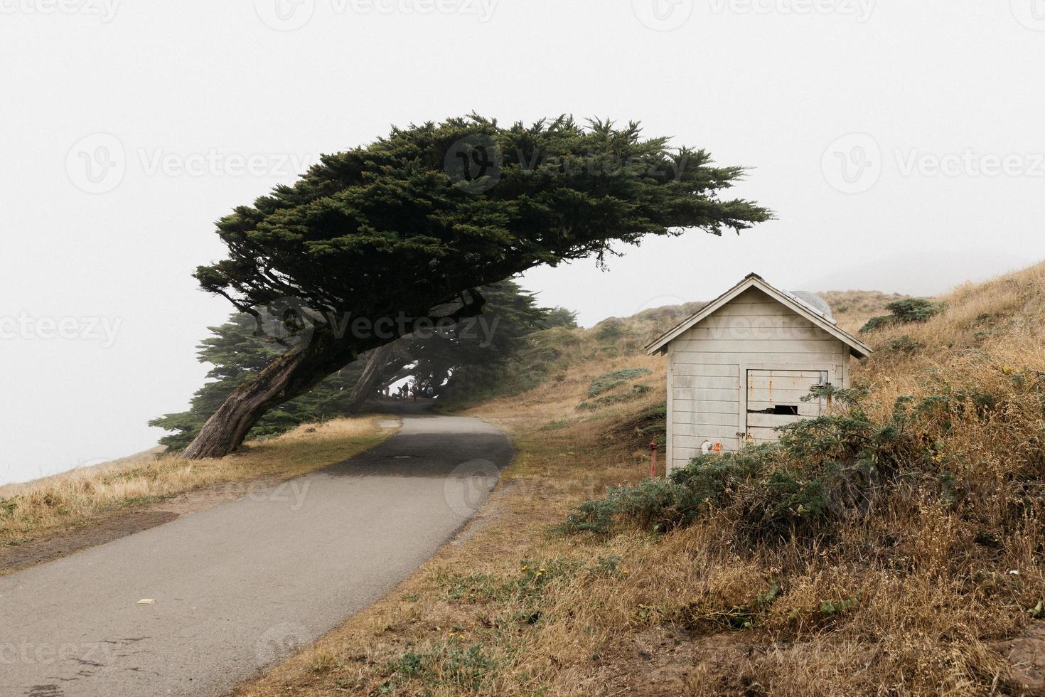 Point Reyes National Seashore photo