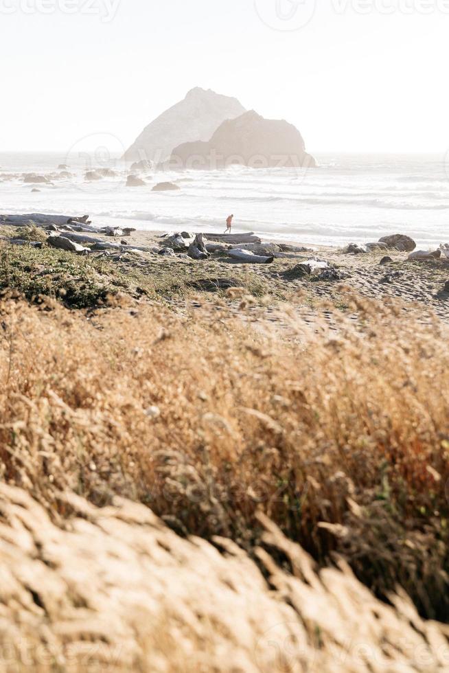 Foggy beach view photo