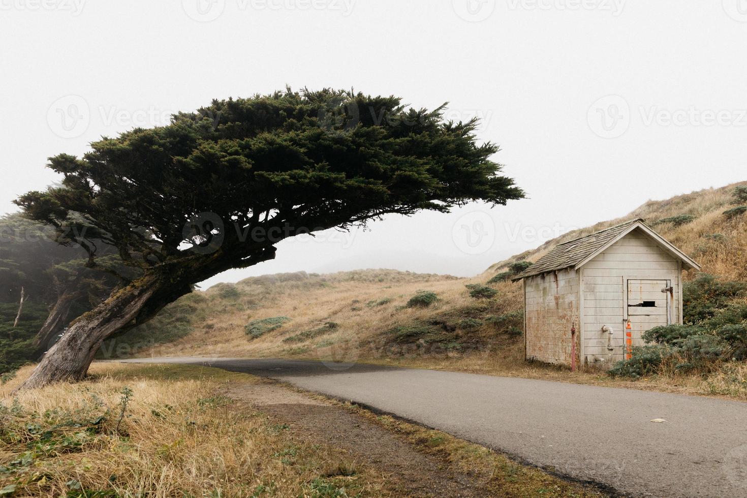 Point Reyes National Seashore photo