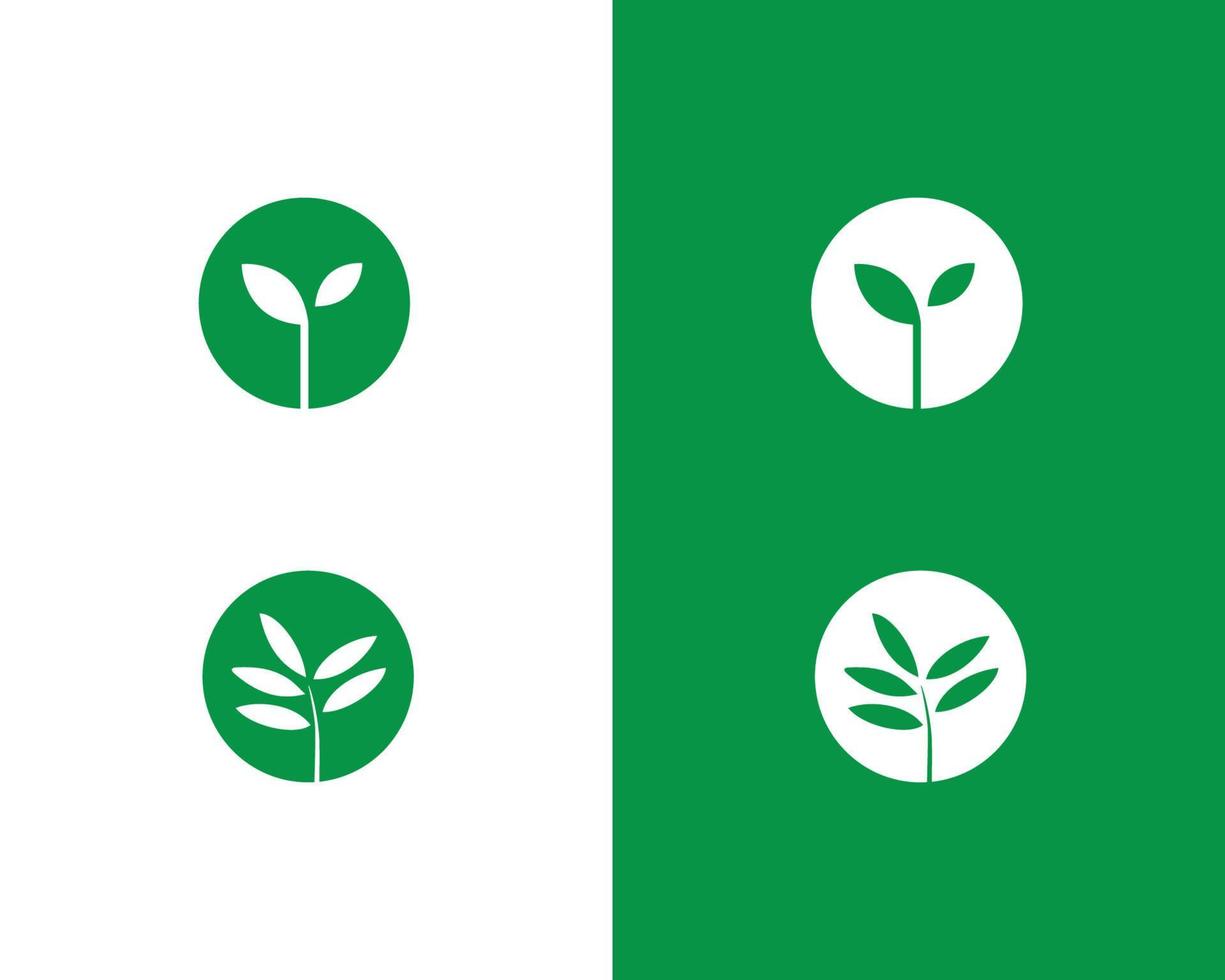 Leaf logo design concept vector