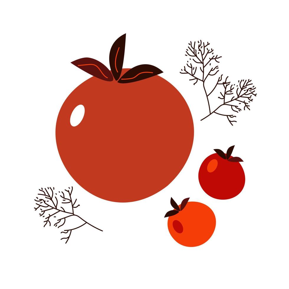 Tomato and dill vector