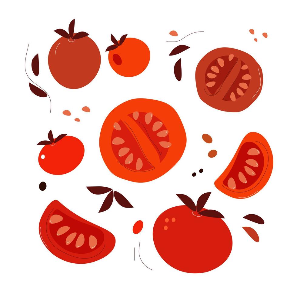 conjunto de tomate rojo gran conjunto de verduras dibujadas a mano aisladas sobre fondo blanco. esbozar la colección de vectores de estilo doodld.