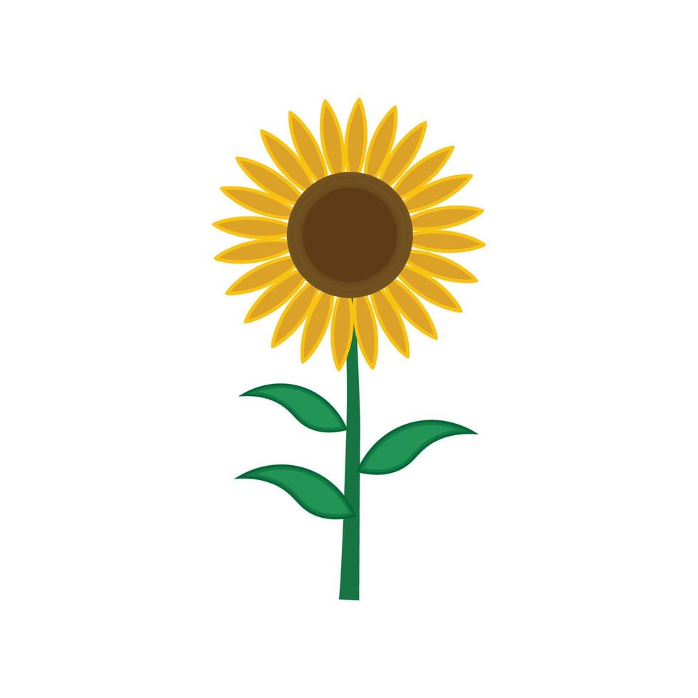 plantilla de ilustración de diseño de vector de girasol