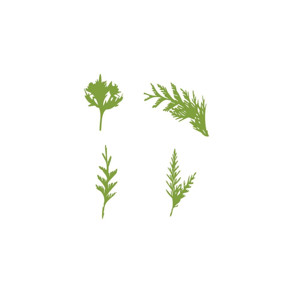 verde planta ornamental helecho hoja naturaleza logo vector